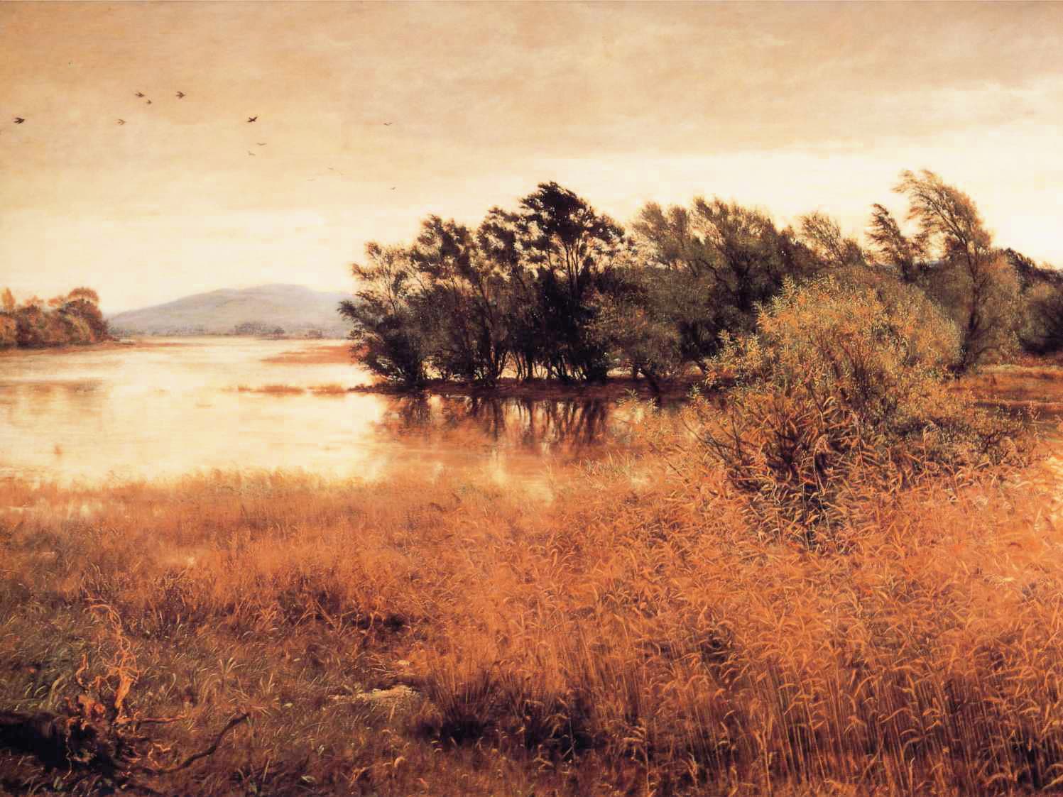 /images/image4.jpg